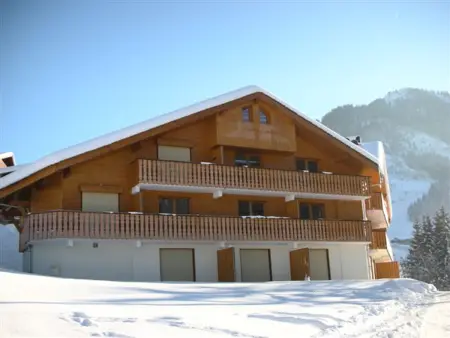 Appartement Châtel 4 pers, terrasse, parking, Appartement 4 personnes à Châtel - Photo 10