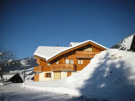 Appartement Châtel 4 pers, terrasse, parking, Appartement 4 personnes à Châtel - Photo 11