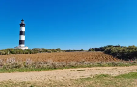 Maison 2 personnes à Saint Pierre d'Oléron - Photo 10