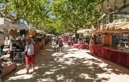 Maison 6 personnes à St Genies de Comolas - Photo 33