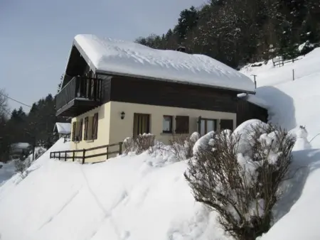 Chalet familial dans le Parc des Vosges, wifi et animaux acceptés - Photo 12