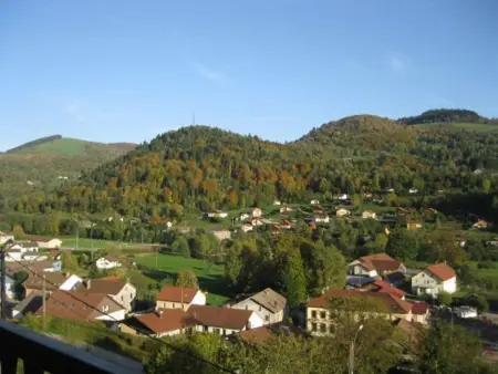 Chalet familial dans le Parc des Vosges, wifi et animaux acceptés - Photo 14