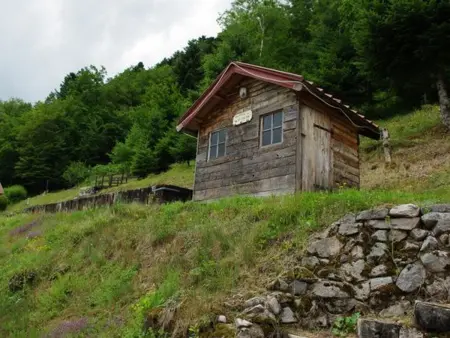Chalet familial dans le Parc des Vosges, wifi et animaux acceptés - Photo 20