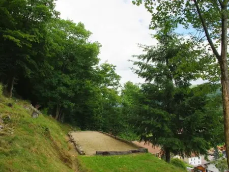 Chalet familial dans le Parc des Vosges, wifi et animaux acceptés - Photo 21