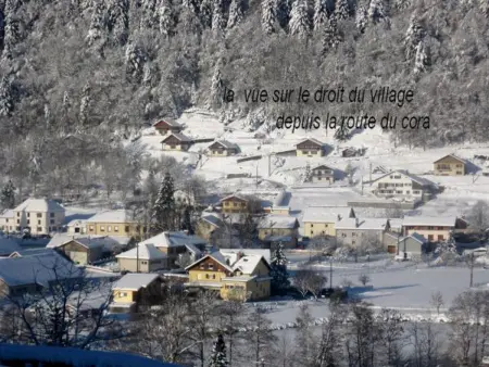 Chalet familial dans le Parc des Vosges, wifi et animaux acceptés - Photo 27