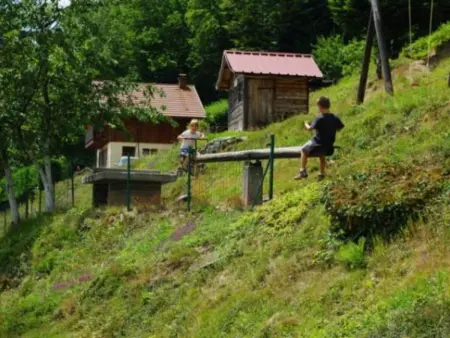 Gîte Confortable au Cœur des Vosges - Animaux Acceptés - Photo 12