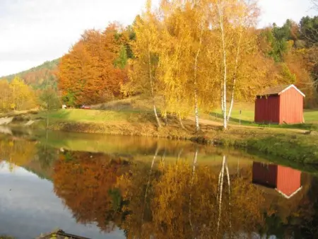 Gîte Confortable au Cœur des Vosges - Animaux Acceptés - Photo 20