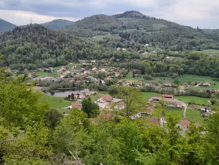 Gîte Confortable au Cœur des Vosges - Animaux Acceptés - Photo 29