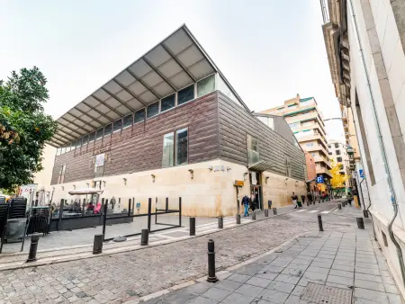 Appartement charmant près du Mercado de San Agustín et de la Cathédrale de Grenade - Photo 12