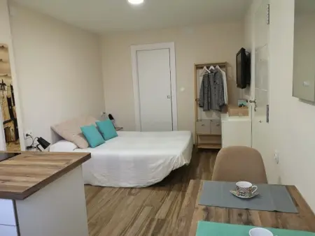 Appartement rénové et confortable à Grenade, arrêt de bus proche - Photo 1