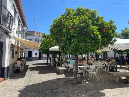 Maison typique avec piscine et parking au cœur de l'Albaicín - Photo 6