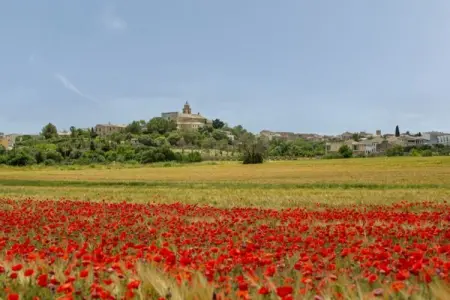CA CLADERA  RAFAL ROIG, Maison de vacances à María de la Salut - Photo 38
