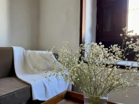 Évasion Rurale : Maison Canarienne avec Piscine et Jardin - Photo 9