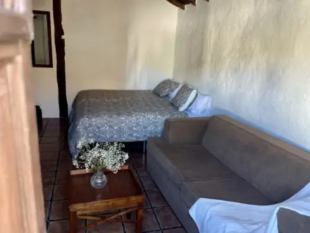 Évasion Rurale : Maison Canarienne avec Piscine et Jardin - Photo 10