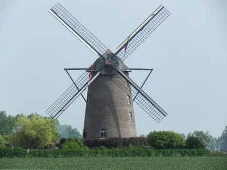 Gîte spacieux et écologique avec jardin et animaux acceptés à Steenvoorde - Photo 23