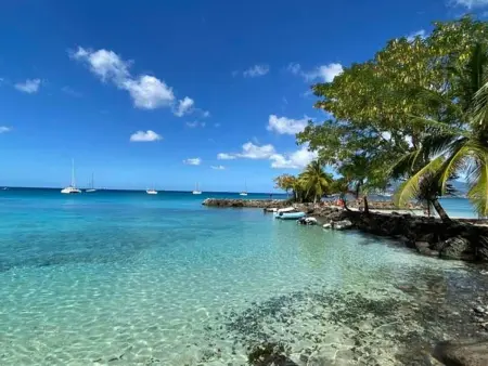 Appartement F3 à la Marina Pointe-du-Bout, Martinique - Photo 8