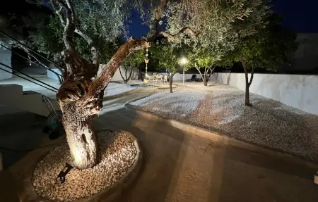 Maison 10 personnes à Algodonales - Photo 35