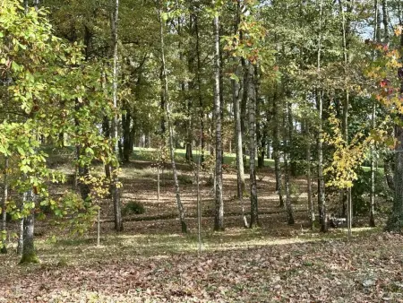 The Green, Villa spacieuse dans les verts avec sauna - Photo 37