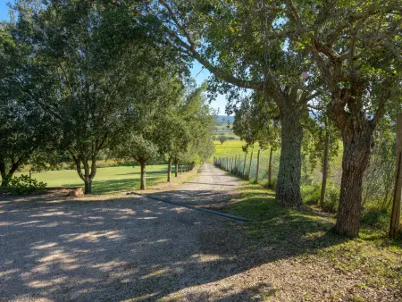 Sottopoggetto, Maison 4 personnes à Roccastrada - Photo 30
