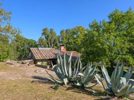 Sottopoggetto, Maison 4 personnes à Roccastrada - Photo 31