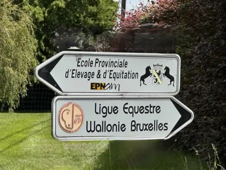 Relais de Zoé, Gîte familial accueillant avec piscine et sauna. - Photo 53