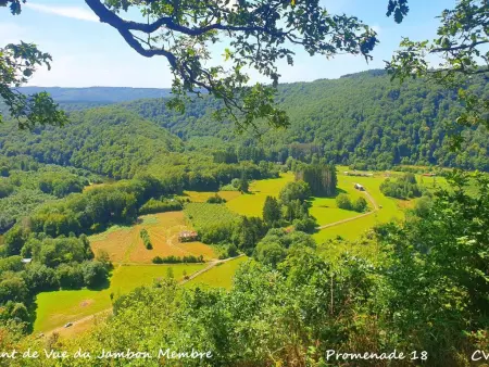 Agathe, Superbe chalet avec billard près de la Semois - Photo 55