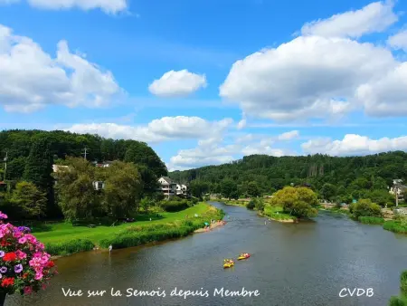 Agathe, Superbe chalet avec billard près de la Semois - Photo 56