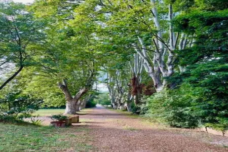 Mas de Corinne, Élégante Bastide près d'Aix avec piscine - Photo 67