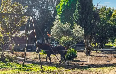 Gîte campagne, Maison 7 personnes à Cabannes - Photo 4