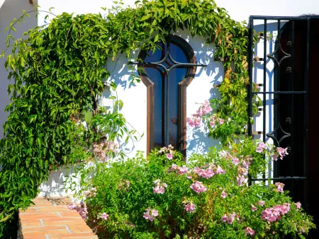 Comendador, Maison 8 personnes à Frigiliana - Photo 69