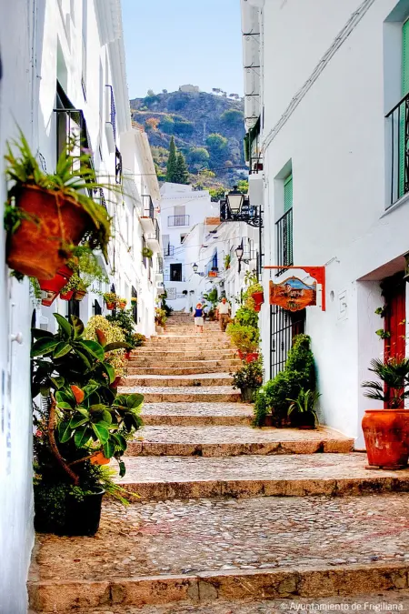 Comendador, Maison 8 personnes à Frigiliana - Photo 80