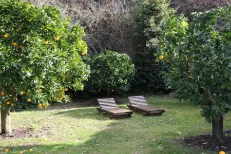 Villa Vinarte, Vinarte une villa italienne et un domaine viticole - Photo 31