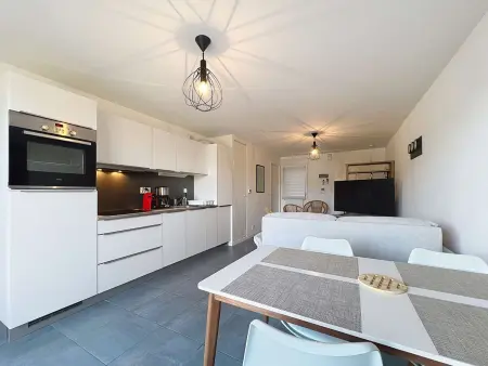 Appartement moderne 2 pièces avec terrasse et garage - Saint-Pierre-Quiberon - Photo 3