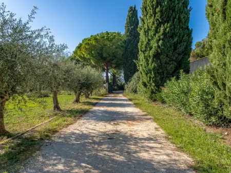 Palmeraie, Villa 8 personnes à Hyères - Photo 4