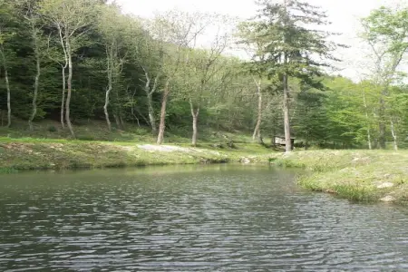 Gite du Pantouquet, Belle demeure de caractère du XVIIème - Photo 25