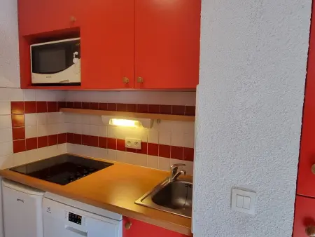 Appartement lumineux près des pistes, accès piscine, animaux acceptés - Photo 1