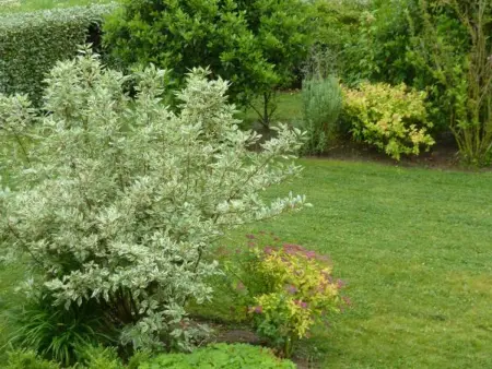 Charmante maison en pierre avec cheminée et jardin clos - Animaux acceptés - Photo 11