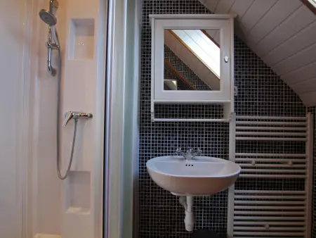 Grande maison familiale avec piscine privée, animaux acceptés - Photo 12