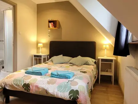 Grande maison familiale avec piscine privée, animaux acceptés - Photo 19