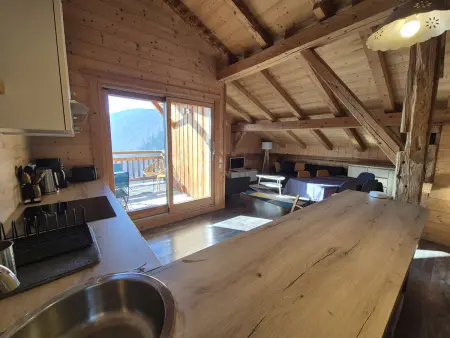 Duplex spacieux avec terrasse sud et animaux admis - Photo 6