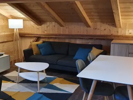 Duplex spacieux avec terrasse sud et animaux admis - Photo 9