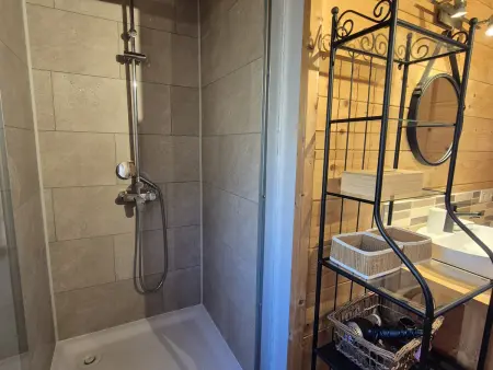 Duplex spacieux avec terrasse sud et animaux admis - Photo 21