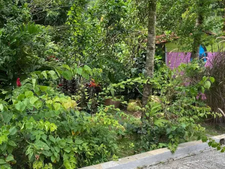 Villa charmante à Sainte-Luce avec piscine privée - Photo 19