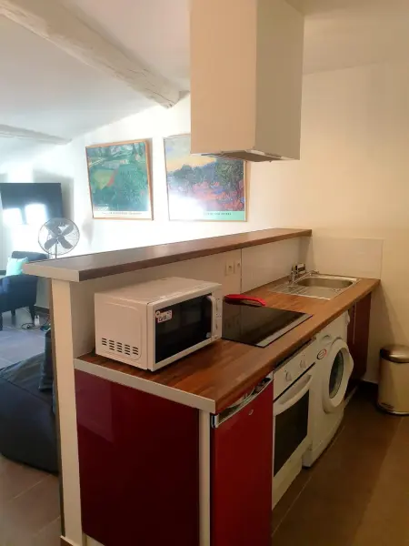 Appartement à L'Isle-sur-la-Sorgue avec vue sur la ville - Photo 13