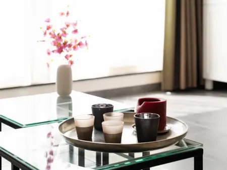 Lysa vierde, Spacieux appartement en duplex avec 2 terrasses - Photo 7