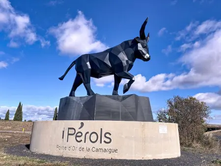 Les cabanes de Pérols, Maison 4 personnes à Pérols - Photo 40