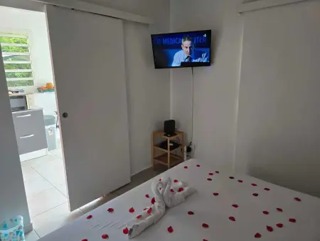 Bungalow confortable à Le Gosier - 20 m² avec jardin - Photo 9