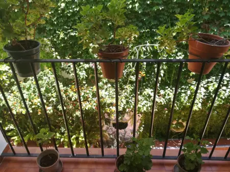 Appartement Lumineux Santa Cruz, Animaux Bienvenus, Climatisation - Photo 6