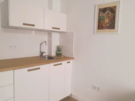 Appartement Lumineux Santa Cruz, Animaux Bienvenus, Climatisation - Photo 15