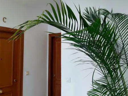 Appartement lumineux au cœur de Triana, animaux admis - Photo 20